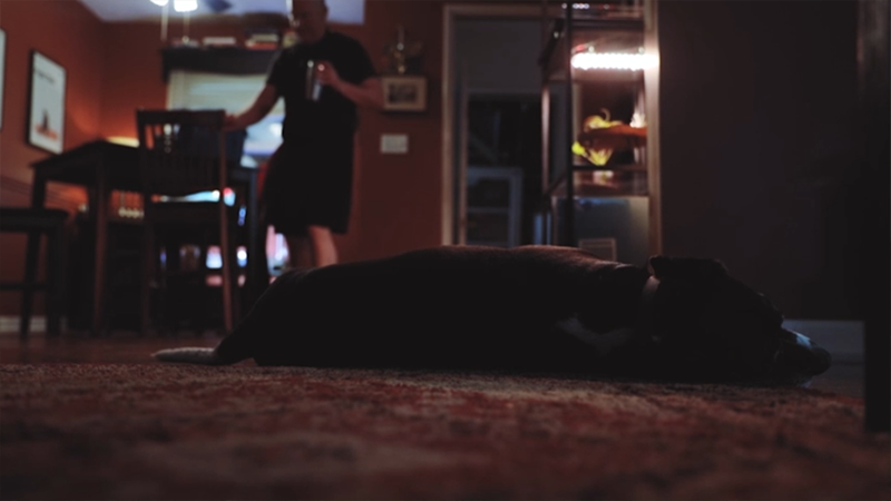 A BOY AND HIS DOG